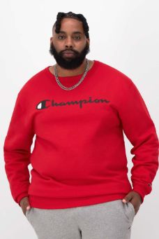 Powerblend Crewneck Sweatshirt, Script Logo - Big & Tall